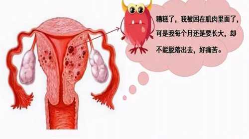 天津2023代孕多少钱,40岁女性做试管婴儿的风险高吗-上海供卵试管医院有哪些