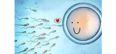 天津助孕生殖医院代孕妈妈,长沙助孕试管婴儿要想成功移植胚胎的数量几枚才