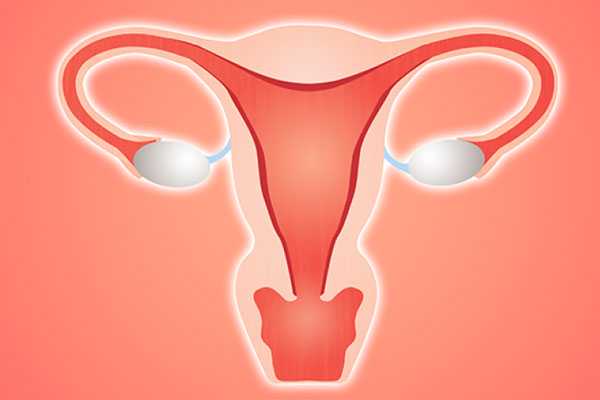 切除子宫后怀孕_精子质量差怎么办,揭秘：海外三代试管婴儿会导致卵巢早衰吗