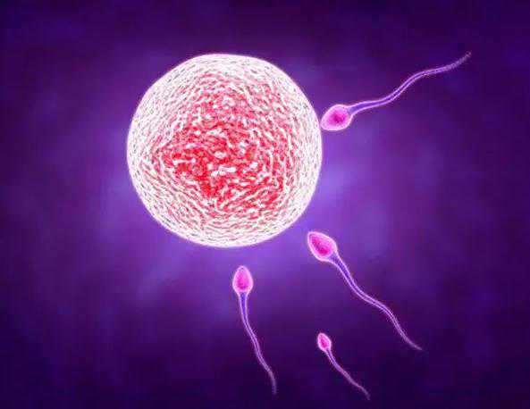 怀孕染色体有异常_没孩子切除子宫_携带艾滋病能做试管婴儿吗？