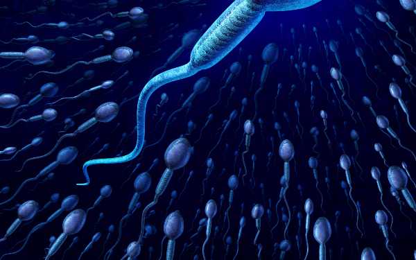 试管会染色体异常_子宫切除 怀孕吗_三代试管男性精子活力要达到多少才满足要