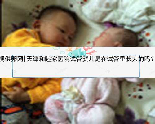 天津正规供卵网|天津和睦家医院试管婴儿是在试管里长大的吗？不孕不